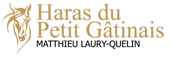 Haras du Petit Gâtinais