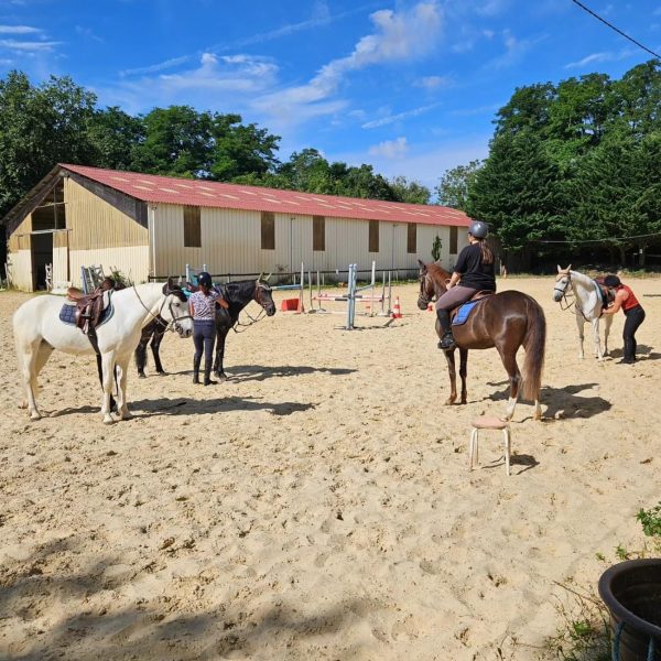 Cours collectifs dans notre carrière